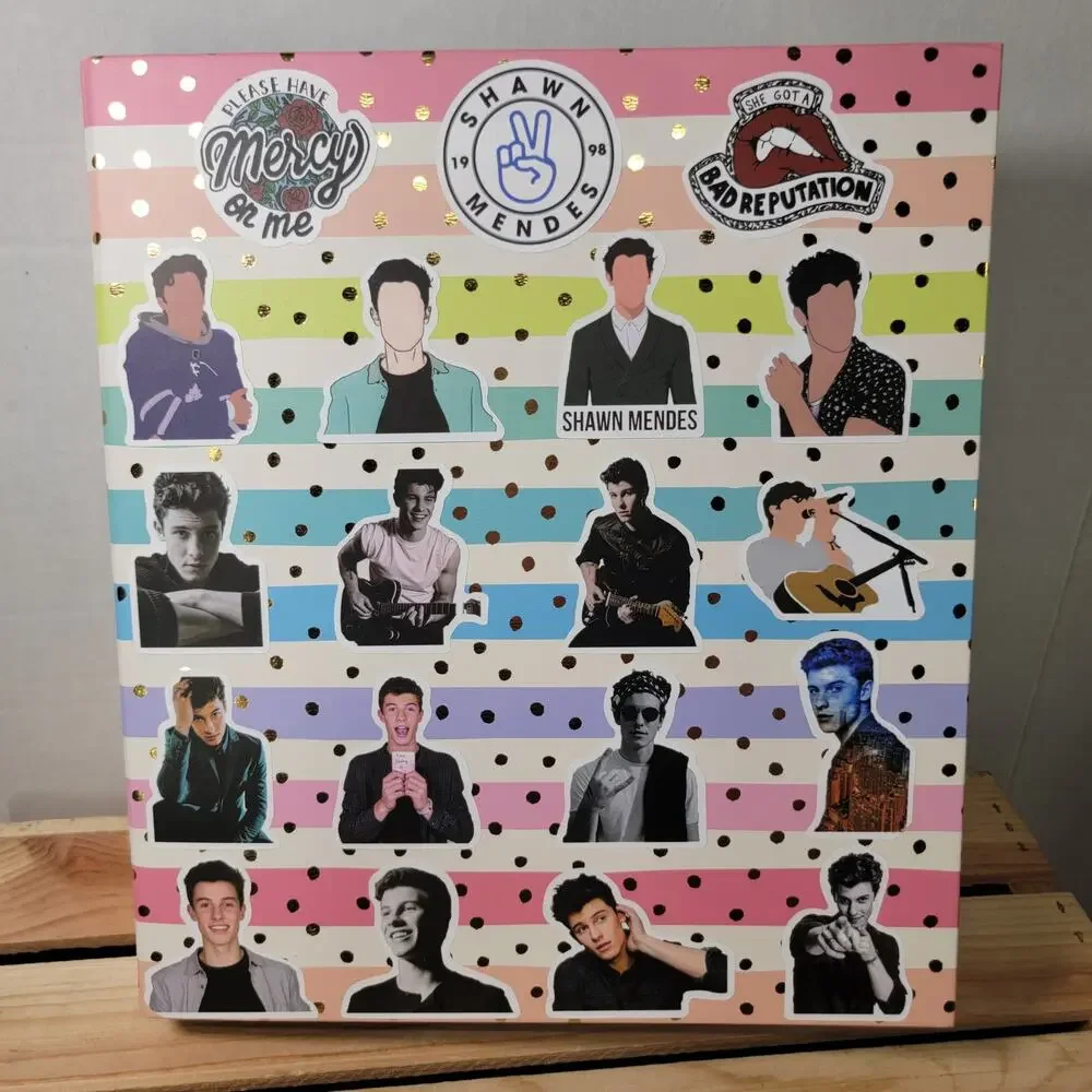 Shawn Mendez Stickered 1.5
